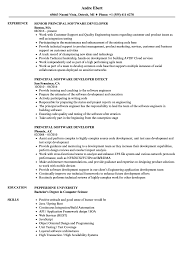 Principal Software Developer Resume Samples Velvet Jobs