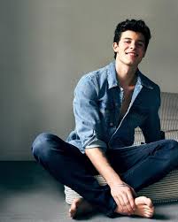 Billie eilish troye sivan shawn mendes wallpaper. 26 Shawn Mendes Calvin Klein Wallpapers On Wallpapersafari