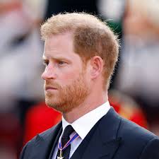 Why Prince Harry is casting himself as a 'whistleblower' and whether the  royals will react