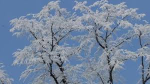 Ziua națională a româniei, sărbătorită pe data de 1 decembrie, aduce vreme caldă și temperaturi de până la 11 grade celsius, însă în timpul programului de la parada militară din bucurești există șanse să apară și câțiva stropi de ploaie, a declarat meteorologul gabriela băncilă, luni, la comandamentul de iarnă organizat de primăria municipiului bucurești. Prognoza Meteo Pentru 12 13 È™i 14 Decembrie Vremea Se Va Schimba Dramatic Un Val De Aer Tropical Loveste Romania