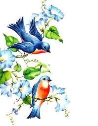 Cute Bird On Branch Drawing Cute Bluebirds Are Sitting On The Branches Tags Cute Popular Bird Art Bird Drawings Bird Illustration
