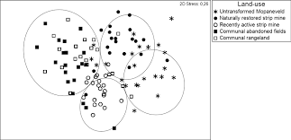 Image result for Microcharis remotiflora