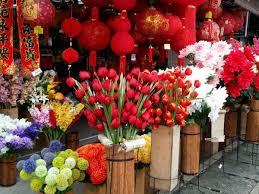 Chinese new year animal signs. Chinese New Year Celebration In Malaysia Hubpages