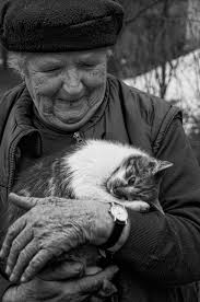 ❤❤❤Love full ❤❤❤