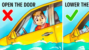 survive in a sinking car nestia