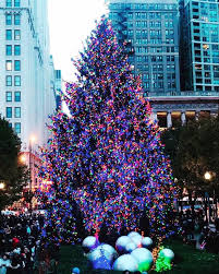 Chicago S Christmas Tree 2018 Chicago Ill Chicago Illinois My Kind Of Town