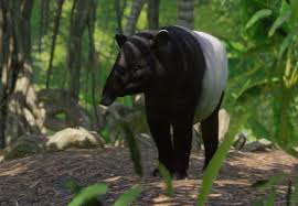 Several tapirs appear in rio 2, the most prominent being the tapir game announcer. Malayan Tapir Planet Zoo