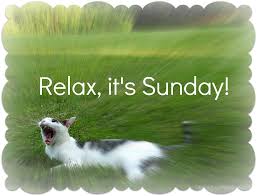 images?q=tbn:ANd9GcSZRO2V61FNyCcLgSL73RiUMpHqxIDodyHkHndHmMJurYLZ27aQ