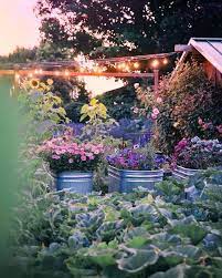 Country Living On Instagram An Evening In The Garden Is An Evening Well Spent Regram Farmluxe Farm Lifestyle Farm Stay Dream Garden