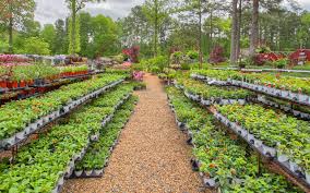 To install approximately 1000 sq. Our Inventory The Good Earth Garden Center