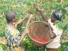 Image result for burundi