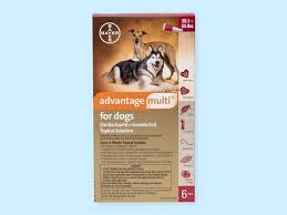 Select from premium dog worms of the highest quality. Best Dog Dewormers In 2021