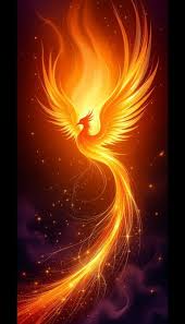 Image result for Phoenix