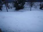 Von Welchem Tier Stammt Dieser Kot Hausgarten Net