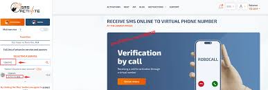 通过国外Windows云服务器来注册OpenAI账号体验ChatGPT完整流程 ...
