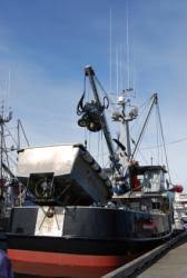 Alaska Offshore Fishing Boat Jobs Gillnetters Trawlers Seiners