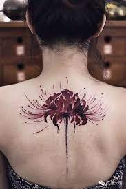 Hoa bỉ ngạn có 3 màu đặc trưng là đỏ, vàng, trắng. Pin On Lycoris Radiata