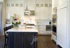 2 tone kitchen transitional kitchen