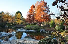 Bonndorf im südschwarzwald ()auf einer höhe von 850 m bietet der unterhalb des schloss bonndorf gelegene erlebnisgarten eine einmalige anlage, die über einen japanischen pavillon, in dem sich ein traditionelles teehaus befindet, eine schildkröteninsel und einen meditationsgarten verfügt. Datei Japanischer Garten In Der Bonner Rheinaue Jpg Wikipedia