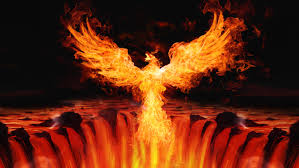 Image result for Phoenix