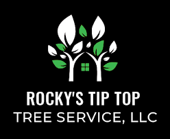 Tree Removal Trimming Stump Grinding Ocala Fl Rocky S Tip Top Tree Service Llc