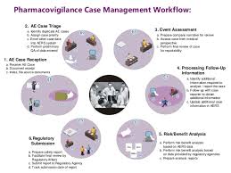 Pharmacovigilance Process Work Flow Katalyst Hls