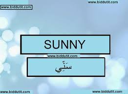Sunny Meaning In Hindi Boy Name Meanings Names With Meaning Baby Names And Meanings