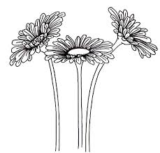 Leading flowers magazine, daily blooms inspiration, find and save flowers for all occasions on we heart it. Gardening Aster Flower Coloring Pages Bulk Color