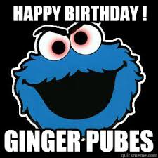 Happy Birthday Ginger Pubes Ginger Pubes Quickmeme