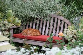 A Lovely Spot For A Nap Photo By J Brew Garden Bench Outdoor Cat House Forest Garden