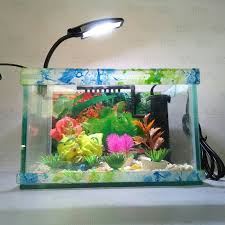 Alasannya, ikan hias tersebut akan lebih mudah. Harga Aquarium Beragam Jenis Mulai Dari Rp30 Ribu Sampai Rp39 Juta