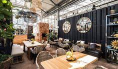 Der garten von ehren wurde 2007 neu eröffnet und fängt dort an, wo der normale gartenmarkt aufhört. Die 10 Besten Bilder Zu Garten Von Ehren In 2020 Baumschule Garten Pflanzen