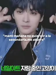 Ayuda Sí: Conoce al Cerdito Leeknow