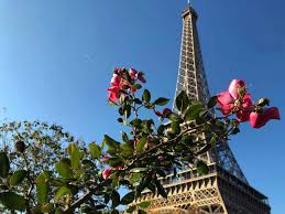 Sie ist die stadt der liebe und der mode, tempel der kunst und des genusses, die stadt. Paris Sehenswurdigkeiten Highlights Tipps Fur Ein Wochenende