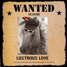 Horse Protection Association of Florida