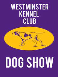 Se på kvalitets nyheter bilder og fotografier tatt av noen av verdens beste fotografer. 2018 Westminster Kennel Club Dog Show February 10 13 2018 Nyc Boredommd Com