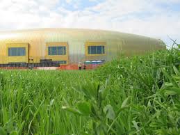 Oug 38/2010 (ordonanta urgenta nr. Legea EducaÈ›iei Fizice È™i Sportului A Fost ModificatÄƒ