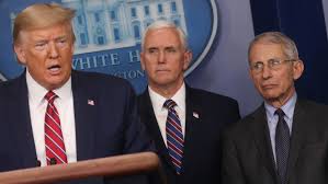 As his staffers smear the director of the national institute of allergy and president trump's advisers undercut the nation's top infectious disease expert, dr. Dr Anthony Fauci I Don T Want To Embarrass Trump