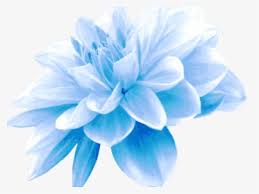 Its a summer sky blue background with many delicate spots of light and glitters. Blue Flowers Png Images Transparent Blue Flowers Image Download Pngitem