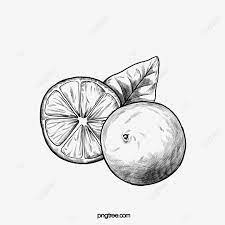 Maka secara otomatis foto akan menjadi hitam putih seperti terlihat pada gambar paling atas. Gambar Buah Tumbuhan Hitam Dan Putih Lemon Hitam Dan Putih Tumbuhan Hitam Dan Putih Kilang Melukis Garis Png Dan Vektor Untuk Muat Turun Percuma