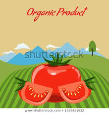 Download Https Www Shutterstock Com Image Vector Tomato Mockup Farm Landscape Background Label 1336431632 Src Lc Landscape Background Royalty Free Photos Label Design