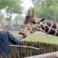 Sensory-Friendly Hours at the Detroit Zoo event in Royal Oak, MI