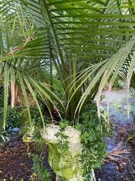 Search the most complete whiteville, nc real estate listings for sale & rent. Mcqueen S Nursery Landscaping Inc Home Facebook