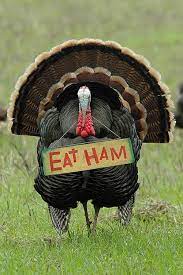 Check spelling or type a new query. 50 Funny Thanksgiving Jokes And One Liners Let S Eat Cake