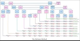 guest post the mcguire method simplified visual dna