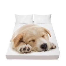 We did not find results for: Mimpi Ns Kucing Anjing Landak Pribadi Berdandan Kamar Tidur Rumah Lembaran Textile 3d Cetak Hewan Lucu Lembar Bettlaken 1 Pcs Lembar Aliexpress