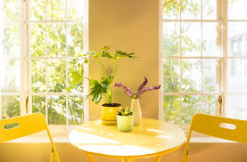 Read ratings & reviews · explore amazon devices · deals of the day 8 Benefits Of Indoor Plants How Houseplants Improve Your Health