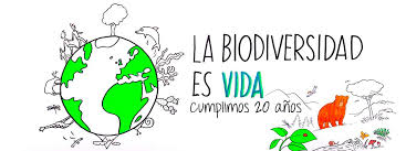Se le llama biodiversidad a la variedad de formas de vida que se desarrolla en un ambiente natural. Fundacion Biodiversidad