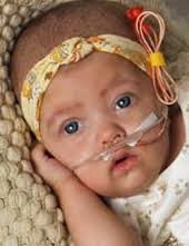 Obituary information for Scarlett A. A. Bush