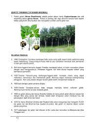 We did not find results for: Getah Hevea Brasilliensis